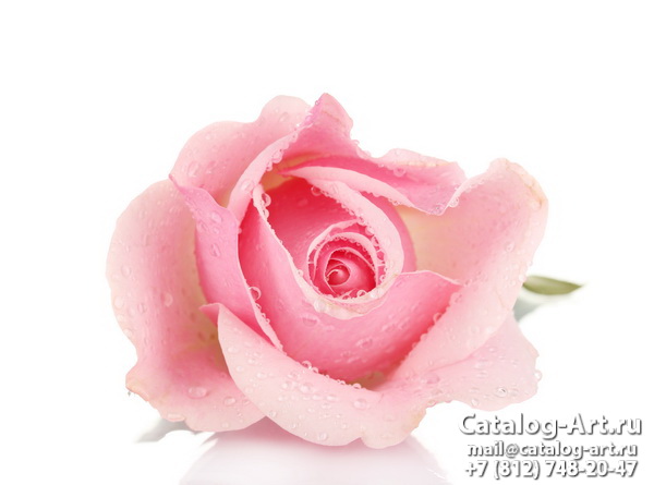 Натяжные потолки с фотопечатью - Розовые розы 58